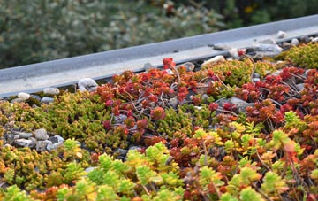 the cost of Ashingdon green roof installation