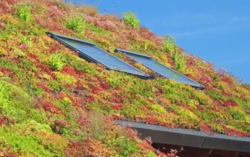 Ashingdon living roof systems